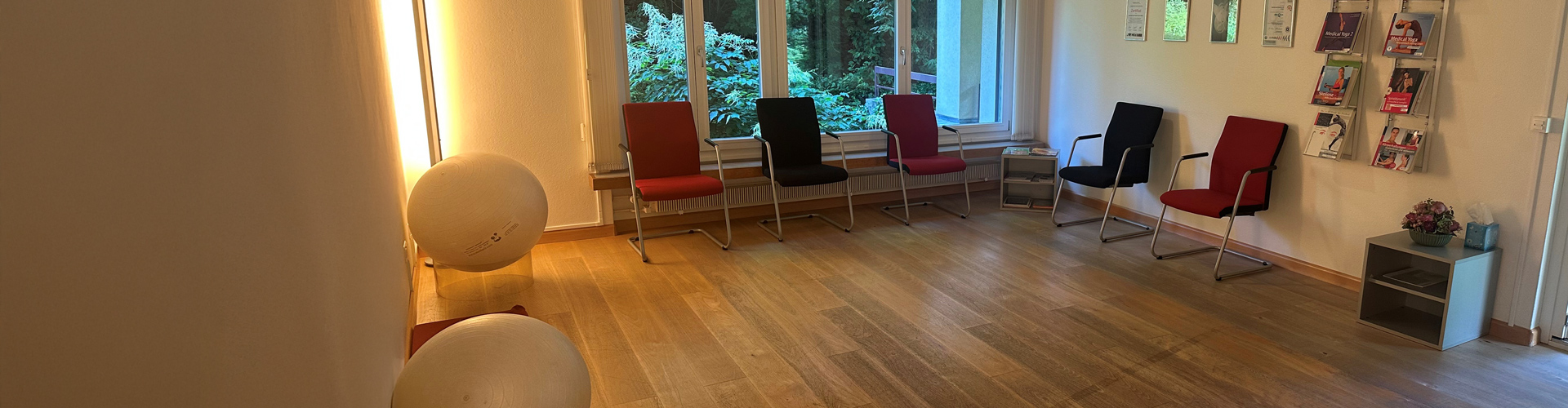 Spiraldynamik® Med Center Basel