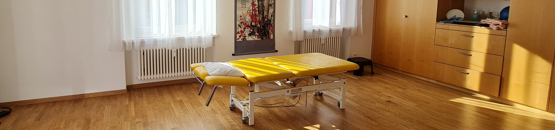 Spiraldynamik® Physiotherapie Praxis Wetzikon