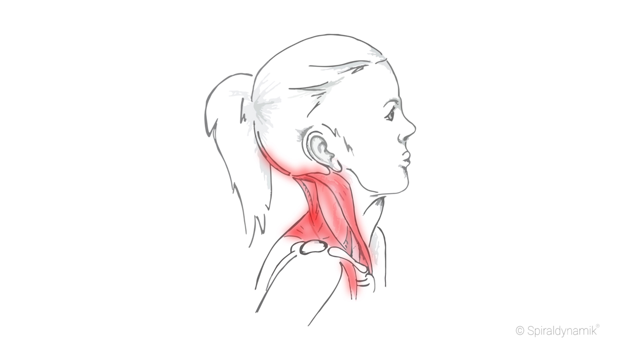 Therapie Nacken verspannt